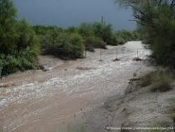 Floodplain in North Scottsdale